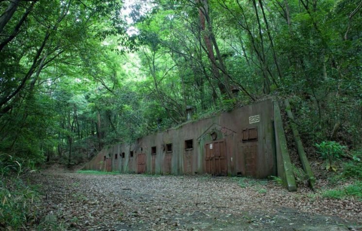 Bunker Mentality: Start Preparing for Ecological & Economic Disaster Free of Corporate Overlords